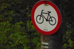Nowych tras rowerowych raczej nie będzie. Leśnicy kontra rowerzyści