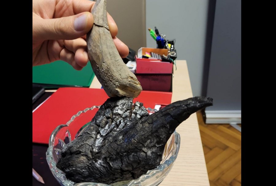 Dewastacja na beskidzkim szlaku. Turyści odnaleźli szczątki popularnej rzeźby - foto