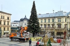 Wielka choinka już stoi na placu Chrobrego! Jest taka piękna, jak w zeszłym roku ZDJĘCIA