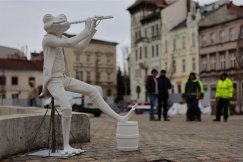Dwie nowe żaby z placu Wojska Polskiego. Pierwsza przyjechała właśnie z Poznania - foto