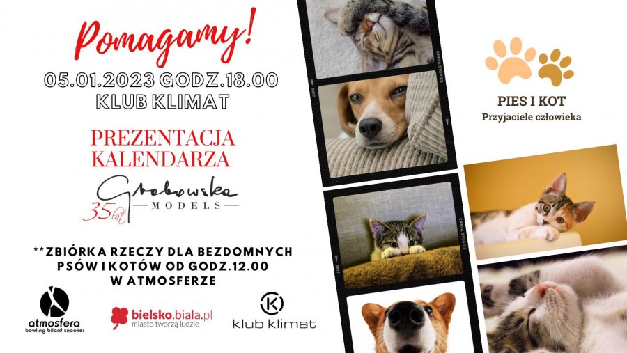 Atrakcyjny kalendarz z modelkami. Niecodzienne bilety na prezentację GŁOSOWANIE