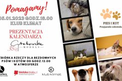 Atrakcyjny kalendarz z modelkami. Niecodzienne bilety na prezentację GŁOSOWANIE
