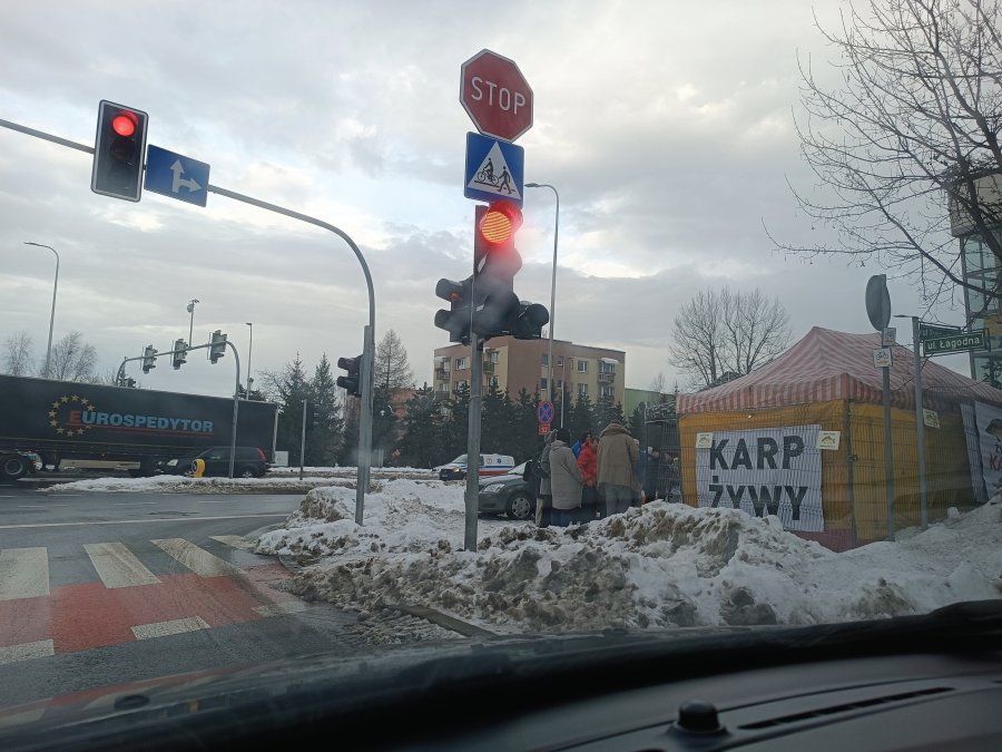 Kolejki od samego rana. Ile kosztuje karp w Bielsku-Białej? - foto