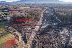 Tną pod S1. Mieszkańcy alarmują: to nadmierna wycinka, niezgodna z koncepcją