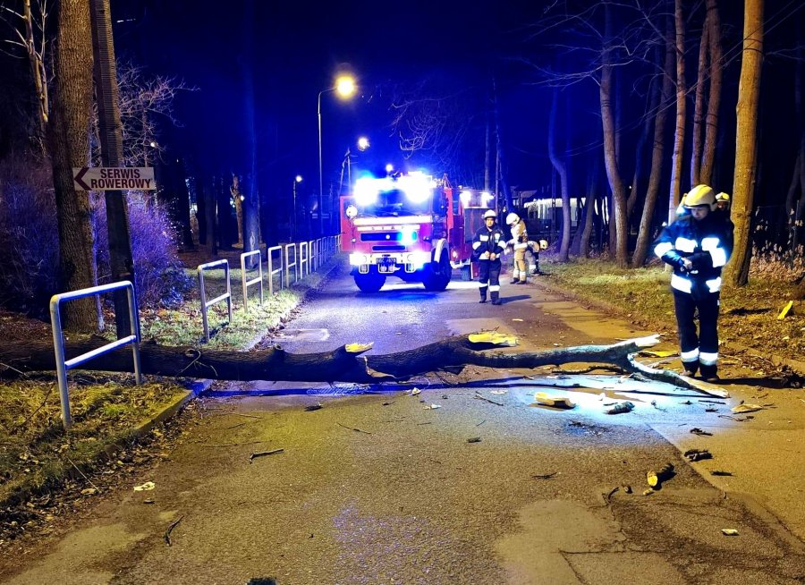 Porwane zadaszenie tarasu i blaszany garaż. Na szczęście nikt nie ucierpiał - foto