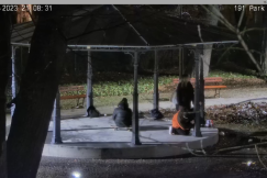 Wandale ujęci na gorącym uczynku. Bazgrali po wyposażeniu parków - foto