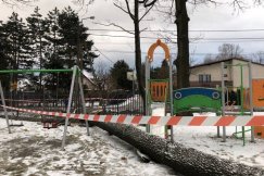 Potężne drzewo runęło na plac zabaw. Czy musi dojść do tragedii? - foto