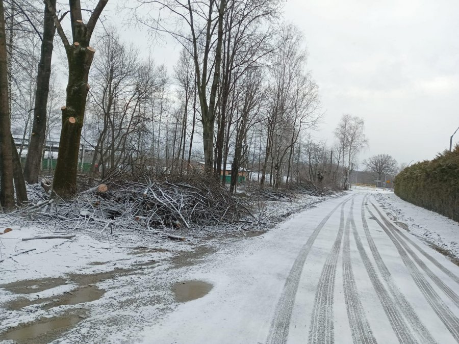 Wycinka drzew w Wapienicy. Spółka przygotowuje się do inwestycji - foto