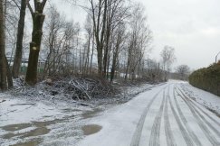 Wycinka drzew w Wapienicy. Spółka przygotowuje się do inwestycji - foto