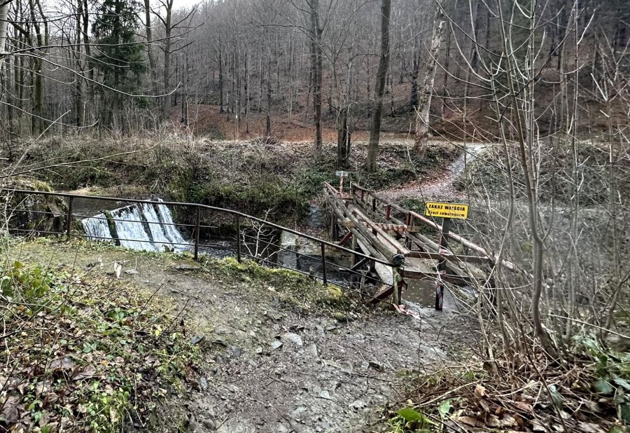 Urzędnicza spychologia trwa. Po miesiącu odnaleźli właściciela?  - foto