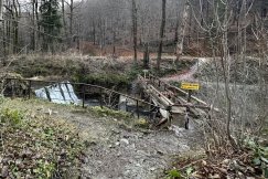 Urzędnicza spychologia trwa. Po miesiącu odnaleźli właściciela?  - foto