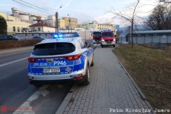 Śnięte ryby w Białej. Zatkano wyciek z terenu zakładu, pobrano próbki wody - foto