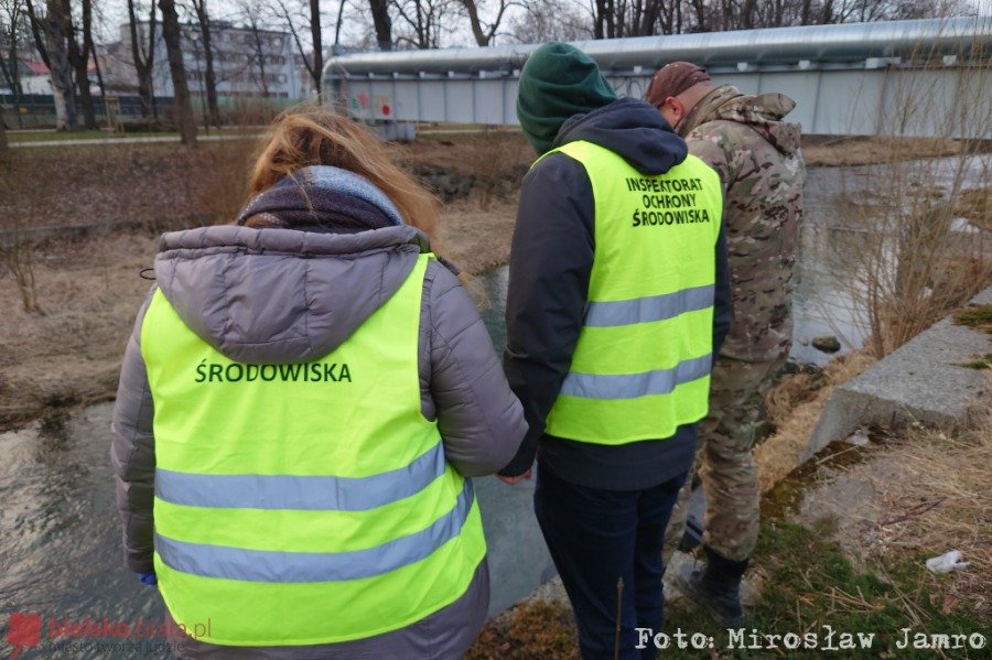 Jaka substancja zatruła rzekę? Ujawniamy wyniki kontroli służb - foto