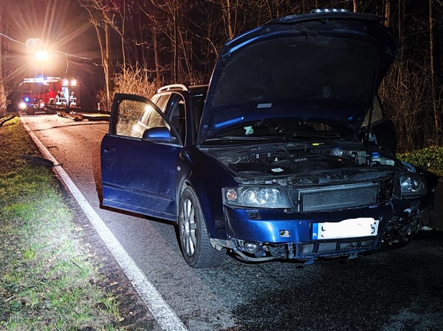 Pracowita noc strażaków. Samochód uderzył w powalone drzewo - foto
