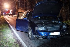 Pracowita noc strażaków. Samochód uderzył w powalone drzewo - foto