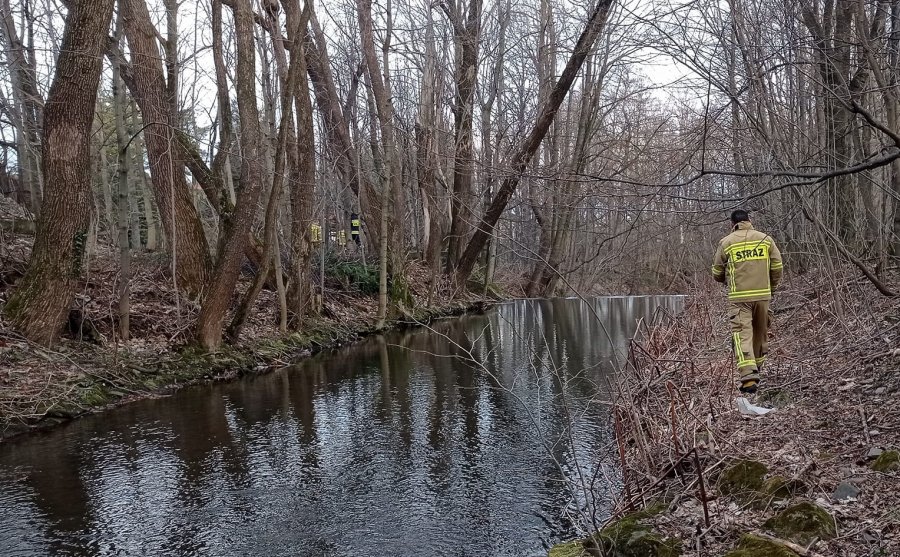 Nocne poszukiwania w Wapienicy. Rano odnalazł się nietrzeźwy - foto