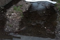 Zanieczyszczenie potoku. Nieznana substancja wypływała z odpadów? - foto