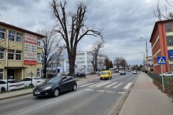 Budowa wiaduktu, obwodnicy i przebudowa torów w jednym czasie? „Będzie niezły cyrk”