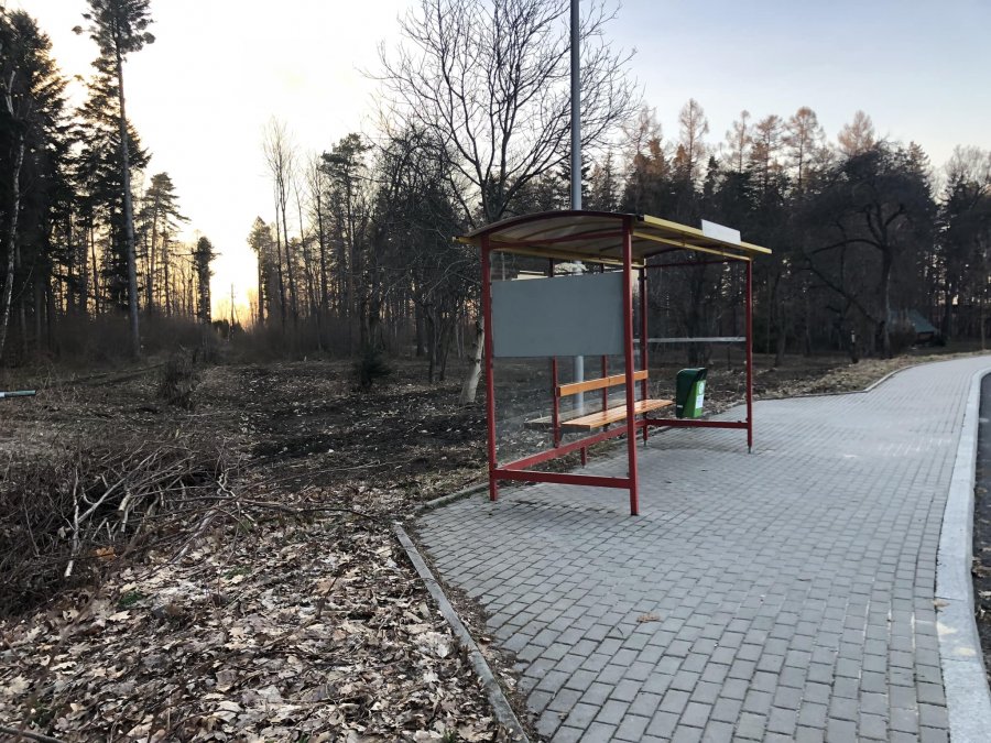 Zapuszczony teren zmieni wygląd. Łąki nie zrobią, ale będzie pięknie - foto