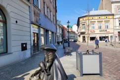 Postawili donice i sadzą drzewa w centrum. Deptak będzie bardziej zielony - foto
