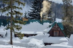 Schroniska zostały w tyle. Czy dymiące kominy przejdą do historii? - foto