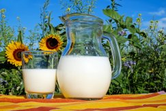 Napoje roślinne - alternatywa dla mleka bez laktozy