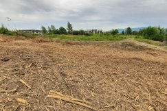 Wycinka w sąsiedztwie Trzech Lipek. To wstęp do dwóch dużych inwestycji deweloperskich