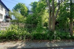 Sprzedają zabytkowy dom wielorodzinny. To ruina z pozwoleniem na rozbiórkę - foto