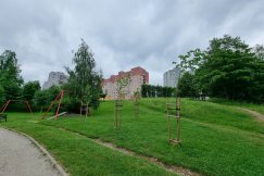Gorący spór na osiedlu i skarga na naczelnika. „Czy mój oddany głos na PO, to strata głosu?”