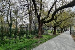 Koniec wojny z deweloperem. Były prezydent bezskutecznie walczył o ten teren w sądzie