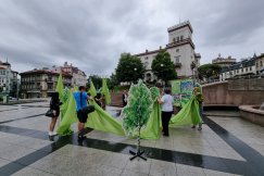 Drzewa stanęły na placu Chrobrego. W happening włączyła się młodzież - foto
