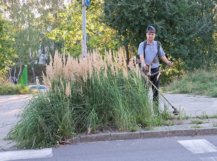 Nie czekał do października. Wykosił trawę obok przejścia i zawstydził urzędników - foto