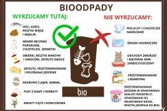 BIO - ZAGADKA, czyli czy kości mogą trafić do kosza na odpady bio?