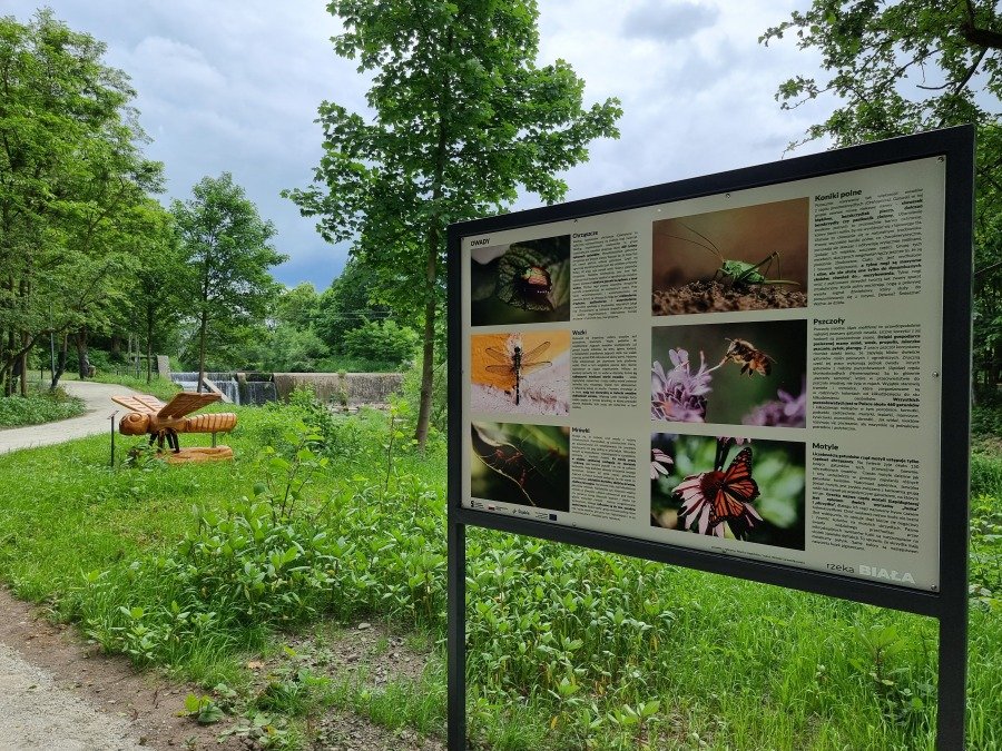 Uroczyście otwarto nowy park w Bielsku-Białej. Oddany do użytku był już w wakacje - foto