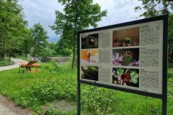 Uroczyście otwarto nowy park w Bielsku-Białej. Oddany do użytku był już w wakacje - foto