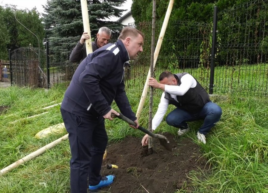 Zasadzili setki drzew wzdłuż ruchliwej ulicy. Inwestycja kosztowała 250 tys. zł - foto