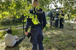Ścigali złodzieja samochodów. Po zatrzymaniu napuścił psa na policjanta - foto