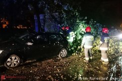 Szykuje się tropikalna noc z bardzo silnym wiatrem. Mogą wystąpić awarie prądu