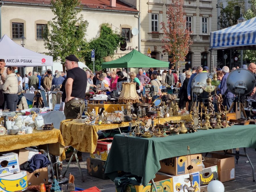 Sukces nowej imprezy. Mieszkańcy regionu odwiedzają nową miejską atrakcję - foto