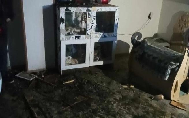 Spalił się dom tymczasowy. Z pożaru uratowano kilkadziesiąt kotów - foto