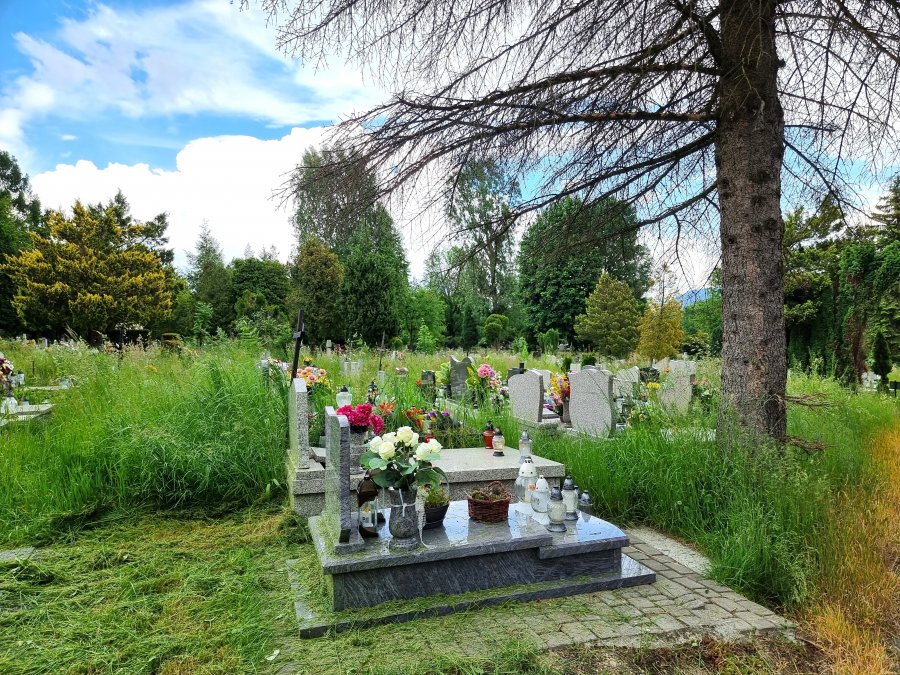 Przetarg na utrzymanie komunalnych cmentarzy. W zeszłym roku były skargi - foto