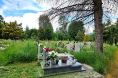 Przetarg na utrzymanie komunalnych cmentarzy. W zeszłym roku były skargi - foto