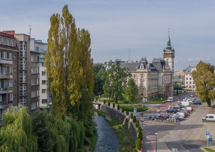 Kto realizować będzie kontrakt warty 140 mln zł? Szara strefa w systemie ma się dobrze