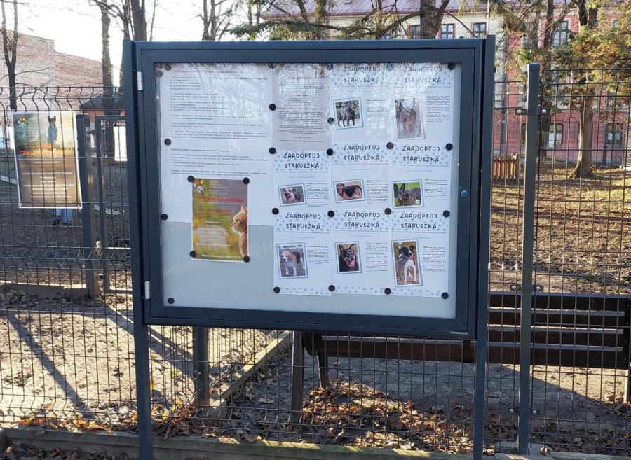 Nowe tablice informacyjne w przestrzeni miejskiej. Nie ma tam zwykłych ogłoszeń - foto