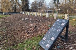 Prace porządkowe na cmentarzu żołnierzy radzieckich. Czy to dobry moment? - foto
