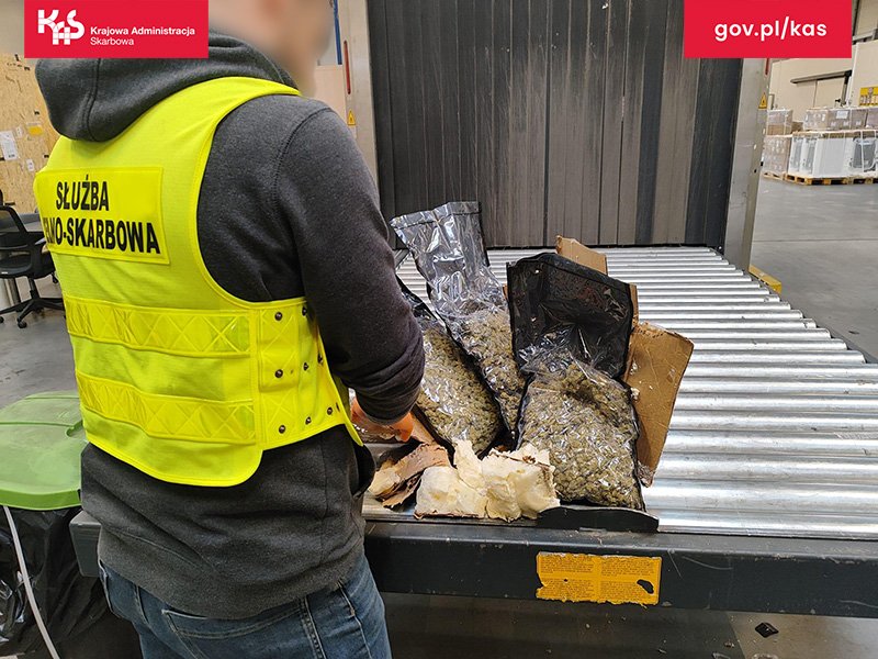 Pies wywęszył nielegalne substancje. Paczka z USA miała trafić na Podbeskidzie - foto