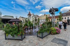 Miasto znów się zazieleni. W przestrzeni ustawią ponad 200 donic i waz z kwiatami