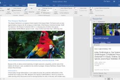 Porównanie pakietów MS Office, który wybrać?