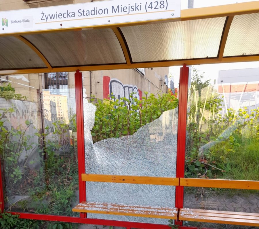 Szli i niszczyli kolejne przystanki autobusowe. Pilny apel o pomoc w ujęciu sprawców - foto
