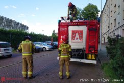 Lokatora zaalarmował czujnik tlenku węgla. Wezwano strażaków - foto